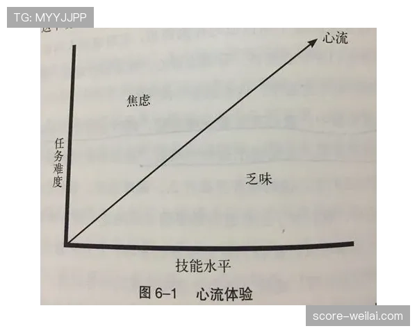 想弄清篮球三秒规则的具体国际差异？这份详细解读带你了解不同赛场下的区别