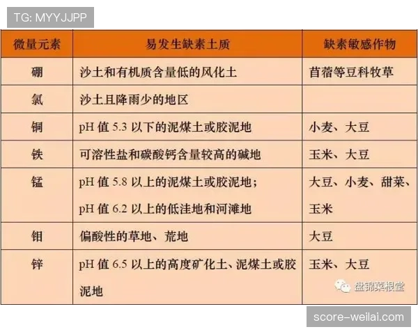 弃权规则：裁判如何判罚与计分判定条件