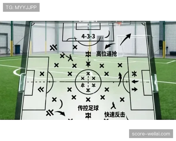法国队世界杯战术打法分析 法国队世界杯战术打法分析